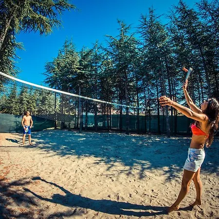 Appartement Sea Club Complex *